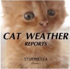 cat-weather-report